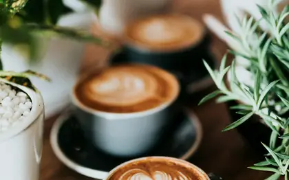 Illustrative free stock food photo (not official brand photography)