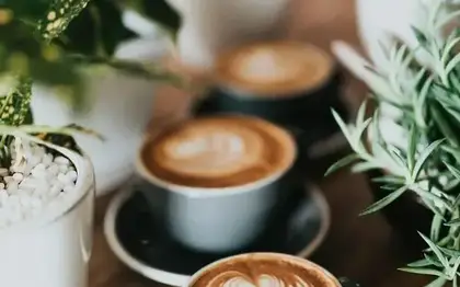Illustrative free stock food photo (not official brand photography)