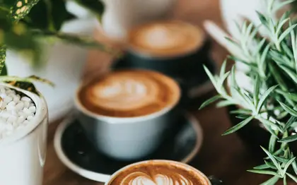 Illustrative free stock food photo (not official brand photography)