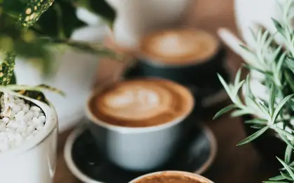 Illustrative free stock food photo (not official brand photography)