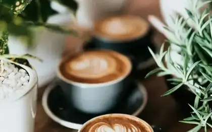 Illustrative free stock food photo (not official brand photography)