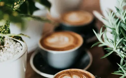 Illustrative free stock food photo (not official brand photography)